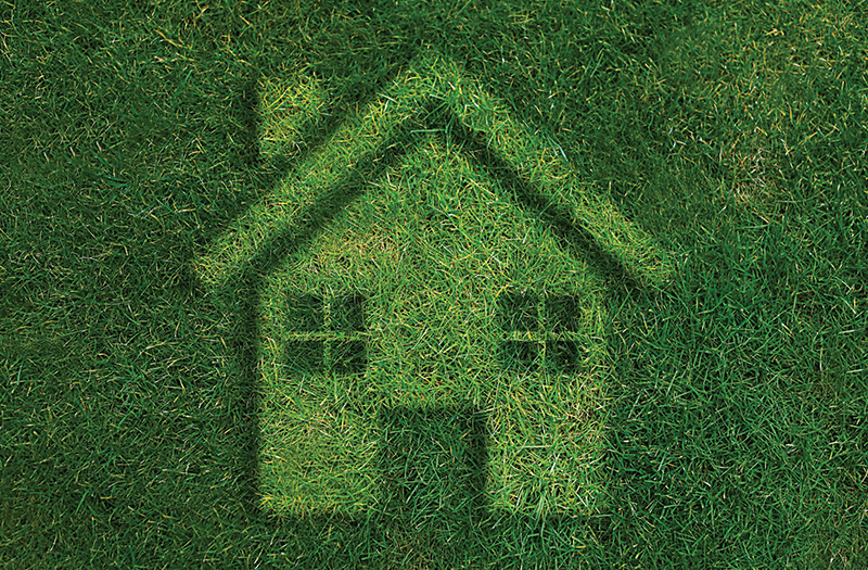 Green Deal Expectancy High Among UK Home Improvement Sector
